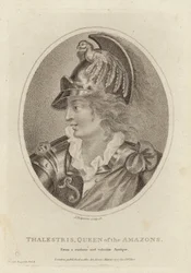 Thalestris, Queen of the Amazons