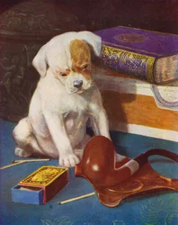 That funny brown thing was Master