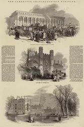 The Cambridge Chancellorship Election (engraving)