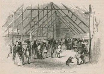 The Cattle Show of the Smithfield Club