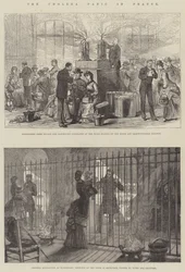 The Cholera Panic in France