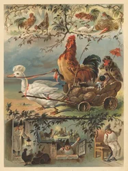 The Cockerel and the Pallet