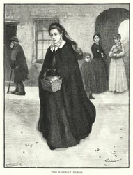 The District Nurse