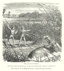 The Egyptian Hunter