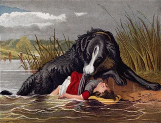The Faithful Friend