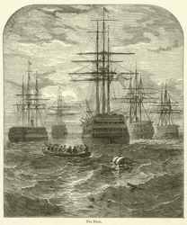 The Fleet