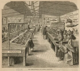 The Food Museum and Animal Products, South Kensington Museum