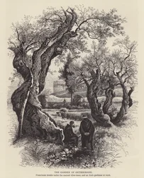 The Garden of Gethsemane