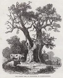 The Gospel Oak, Stonleigh, Warwickshire