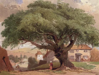 The Great Ash, scene in Surrey