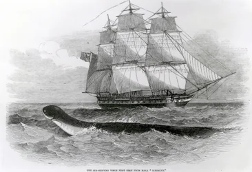 The Great Sea-Serpent when First Seen from HMS Daedalus