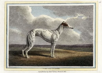 The Greyhound, pub. 1812