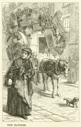 The Hawker