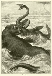 The Ichthyosaurus