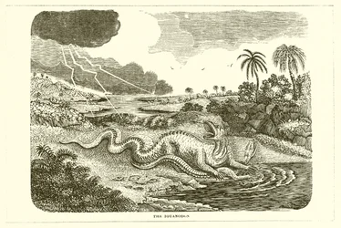 The Iguanodon