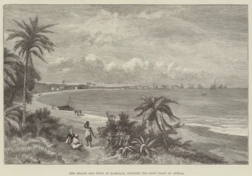 The Island and Town of Zanzibar, opposite the East Coast of Africa
