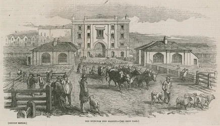 The Islington new market