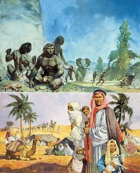 The Land that Became a Desert