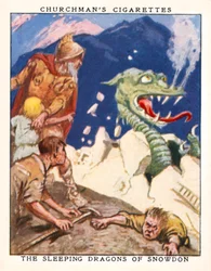 The Legend of St Patrick and the Snakes, Ireland