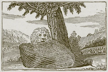 The Lion and the Mouse