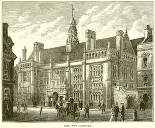 The New Schools