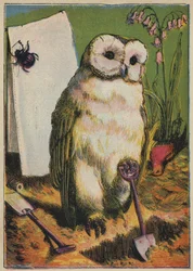 The Owl, the Beetle, and Cock Robin