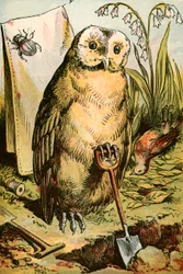 The Owl, the Beetle, and Cock Robin