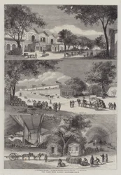 The Paris Wine Market