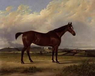 The Pride of the Stable