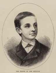 The Prince of the Asturias