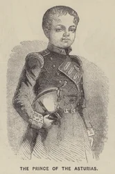 The Prince of the Asturias