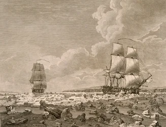 The Racehorse and Carcass forcing through the ice, August 10th 1773, from A Voyage Towards the North Pole Undertaken by His Majestys Command 1773, published London 1774
