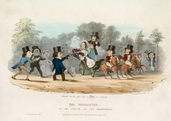 The Reginacide, or an attack on the Constitution
