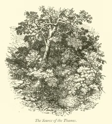 The Source of the Thames
