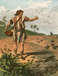 The Sower