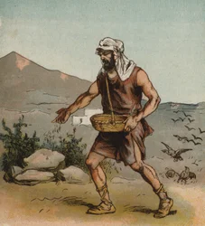 The Sower