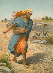 The Sower Sowing the Seed