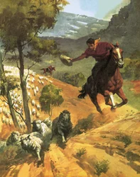 The Story of Australia: Colony into Continent