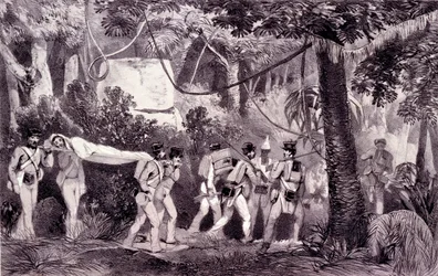 The Stretcher