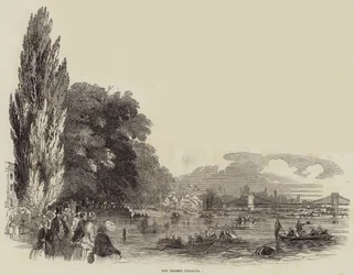 The Thames Regatta