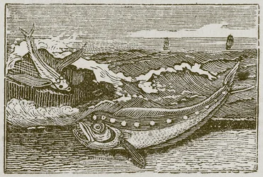 The Thunny and the Dolphin