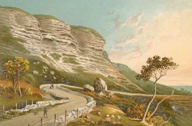 The Undercliff Road--Isle of Wight
