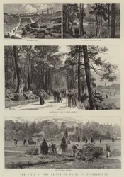 The Visit of the Prince of Wales to Bournemouth