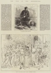 The War in the Herzegovina