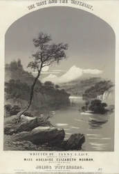 The Wave and the Waterlily