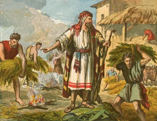 The Wheat and the Tares
