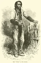 The Wolf, a Ute Indian