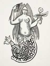 The Wonder of Wonders, illustration from Chap-books of the Eighteenth Century by John Ashton, pub. 1882