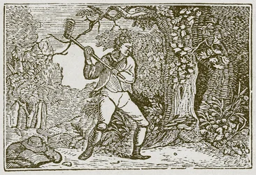 The Wood and the Clown