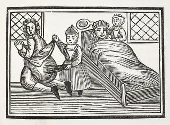 The World Turned Upside Down (illustration)